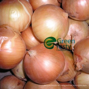 High Quality Fresh Whole Yellow Onion